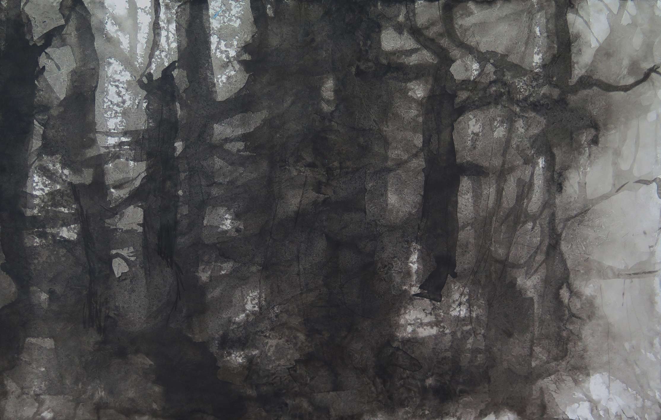 Skogen er min inspirasjonskilde