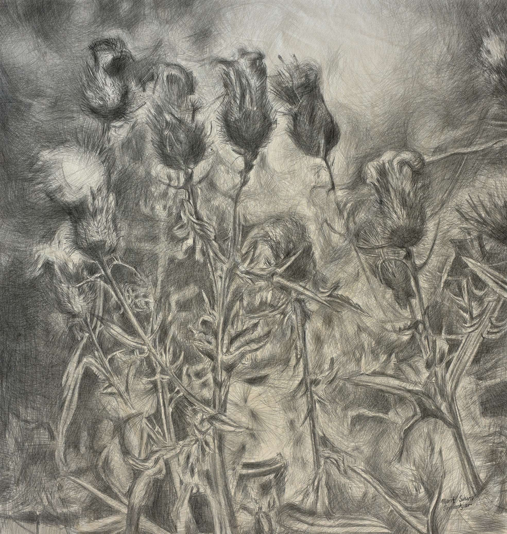 Novemberutstillingen 2018